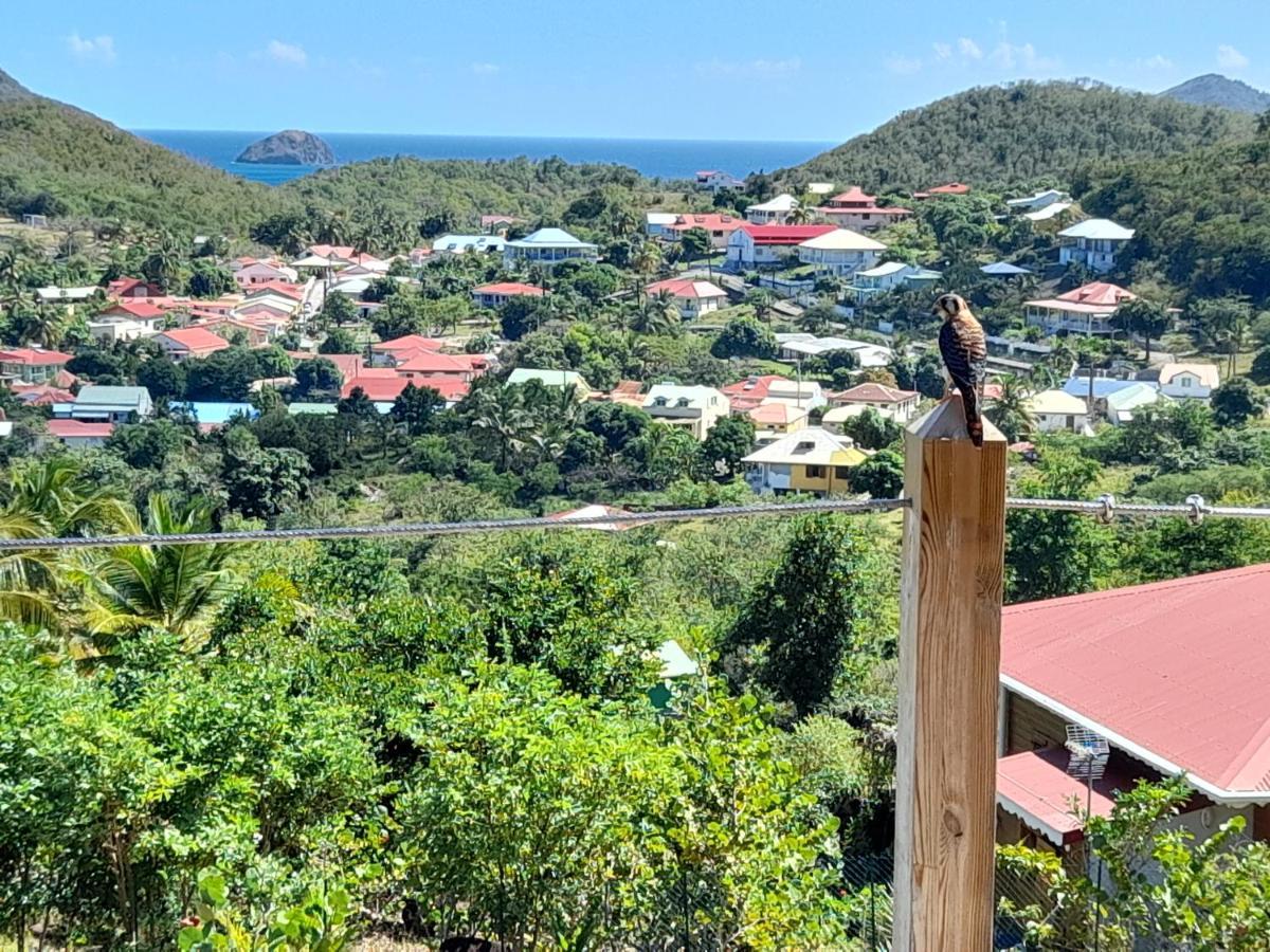 Vila Ti Kaz Anoli Vue Epoustouflante Sur La Baie Terre-de-Bas Exteriér fotografie